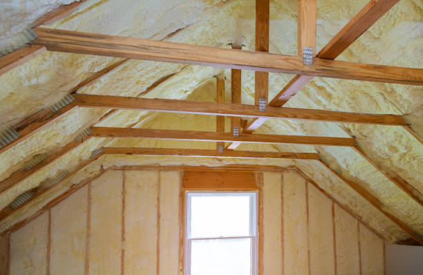 Best Residential Insulation Services  in Lton, IN