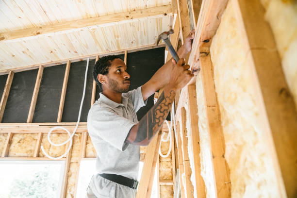 Best Cellulose Insulation  in Lton, IN